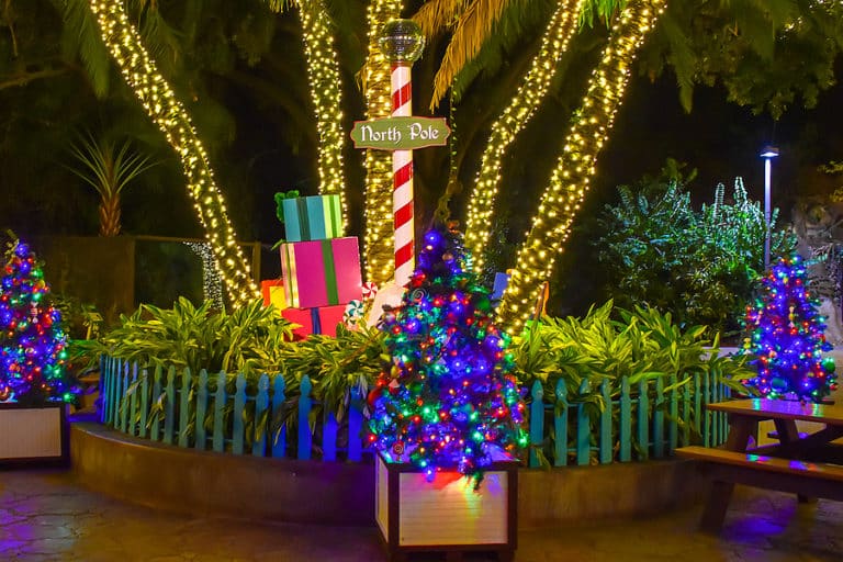 See Christmas Lights in West Palm Beach Beach Water Sports